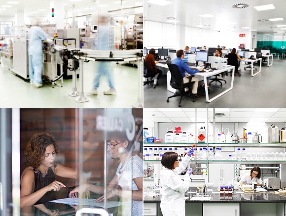 Imagen Nuestros Empleados