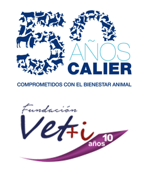 Logo Fundación Vet+i Logo Fundación Vet+i