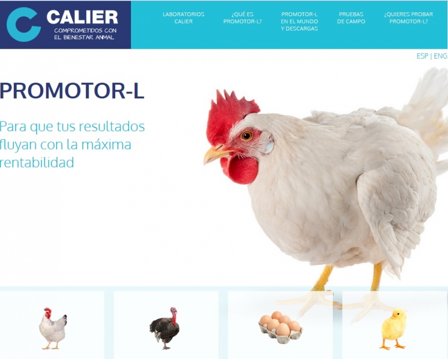 Web dedicada a Promotor-L Web dedicada a Promotor-L