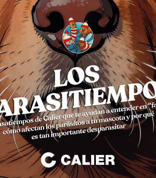 Parasitiempos Calier