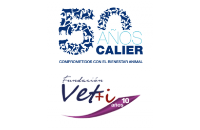 Logo Fundación Vet+i