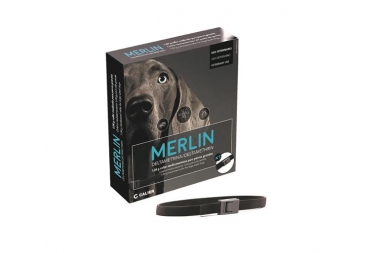 Collar antiparasitario para perros Merlin