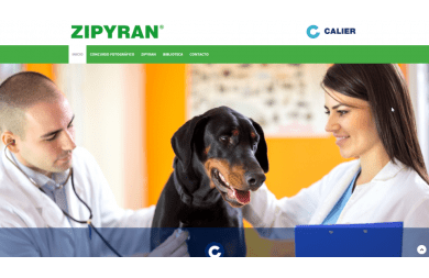 Nueva web Zipyran